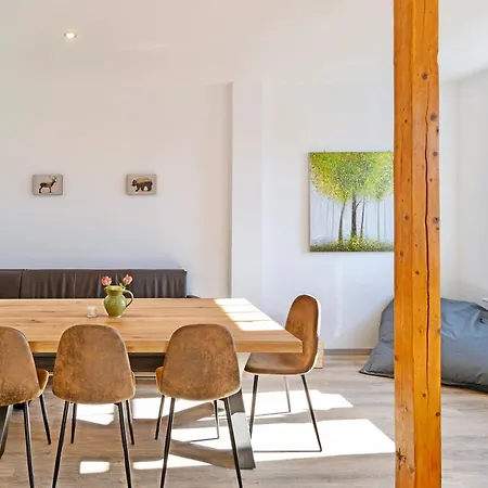 Apartment Lichtdurchflutete 8-raum-wohnung Chemnitz