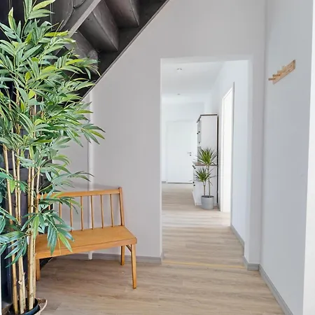 Lichtdurchflutete 8-raum-wohnung Apartment Chemnitz