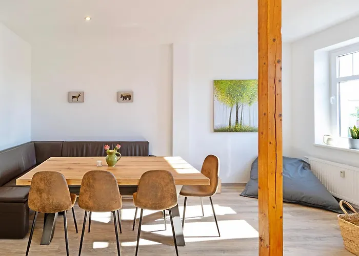 Apartment Lichtdurchflutete 8-raum-wohnung Chemnitz