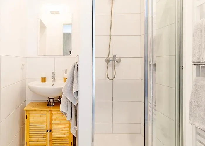 Lichtdurchflutete 8-raum-wohnung * Chemnitz