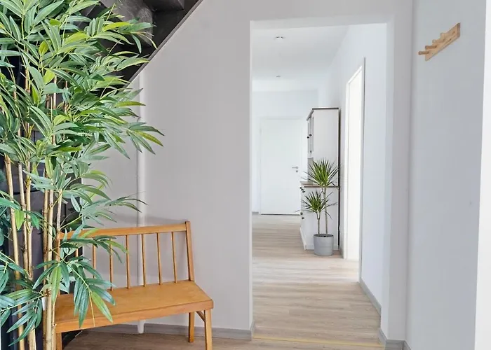 Lichtdurchflutete 8-raum-wohnung Apartment Chemnitz